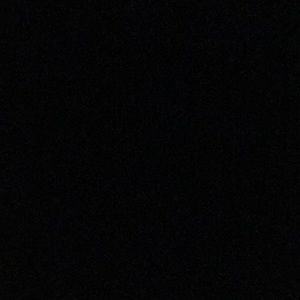 Meet your Posher, Dominick